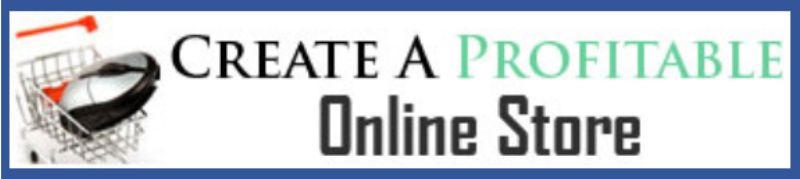 Create A Profitable Online Store review