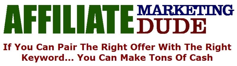 Affiliate Marketing Dude results Affiliate Marketing Dude results