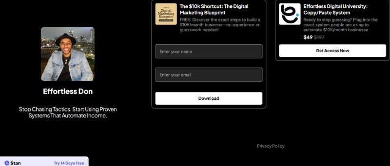 effortless don stan store