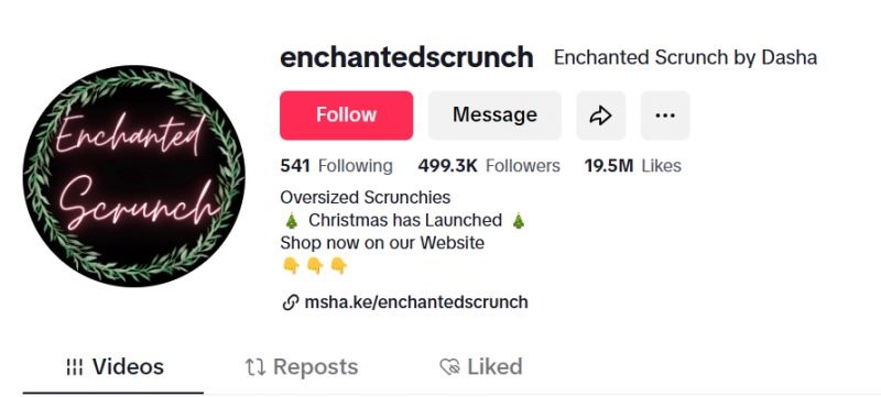 enchanted scrunch