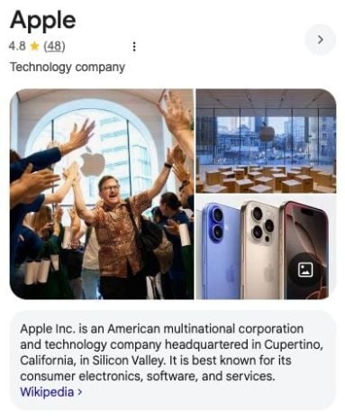 knowledge panel example