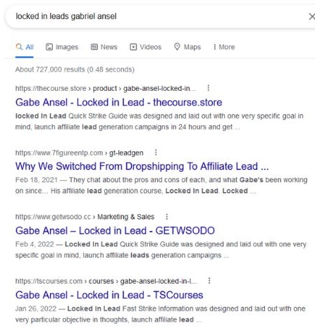 Locked In Leads Google search results