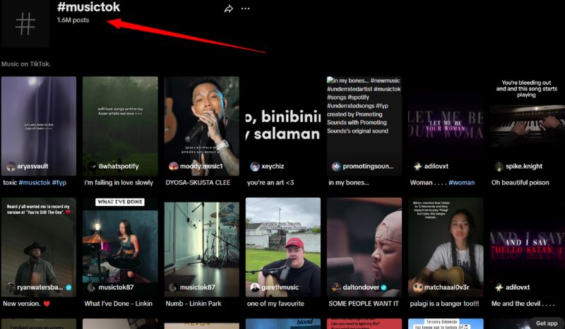 musictok community