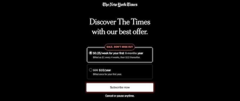newsletter subscriptions examples