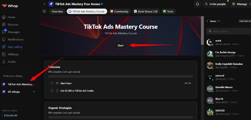 tiktok ads mastery free access