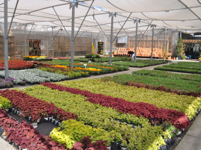 How To Start A Profitable Plant Nursery Business In  Ippei Blog - How Much Does A Plant Nursery Owner Make