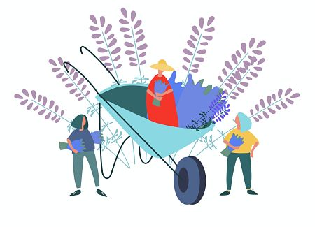 cartoon of women in and beside a giant wheelbarrow and lavender