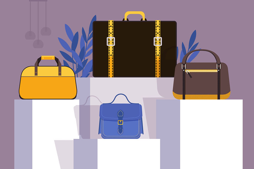 cartoon of a variety of purses and handbags