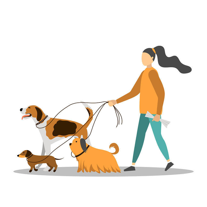 cartoon of a woman walking dogs