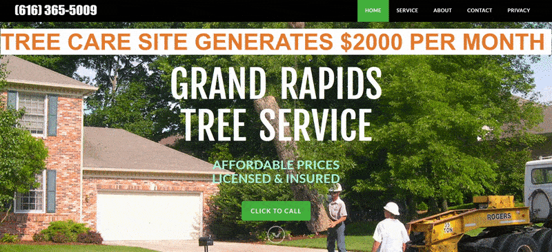 rank and rent tree care removal example