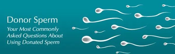 picture of sperm