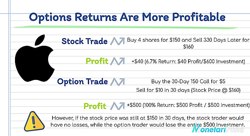 options have bigger returns and bigger losses