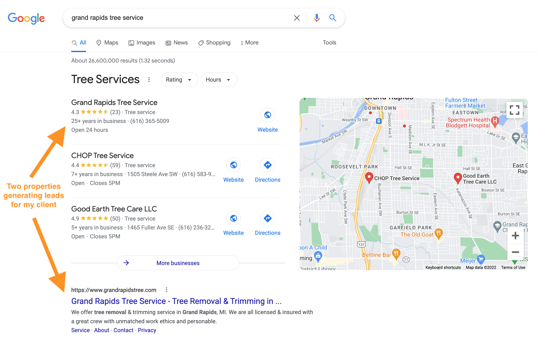 Grand rapids tree service search query overview
