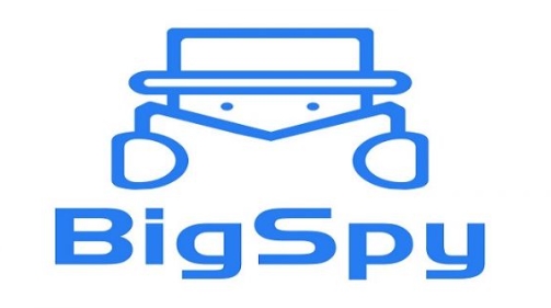 photo pf bigspy logo
