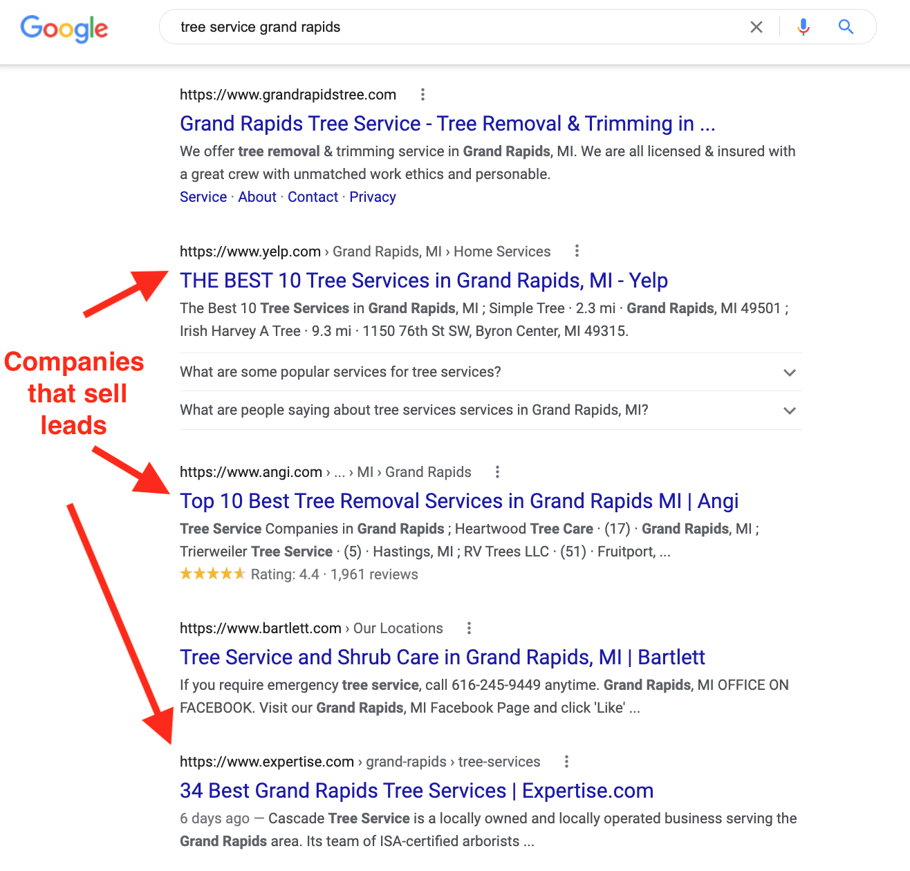yelp angi and expertise showing up in the google search results below grand rapids tree service