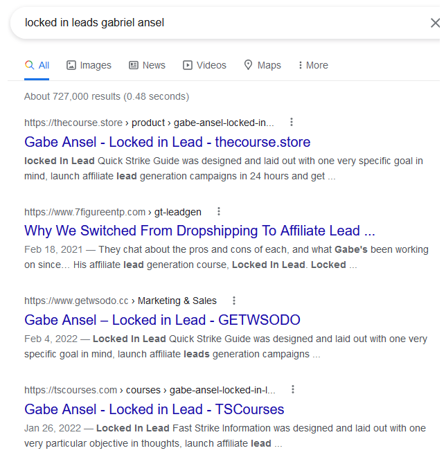 Locked In Leads Google search results