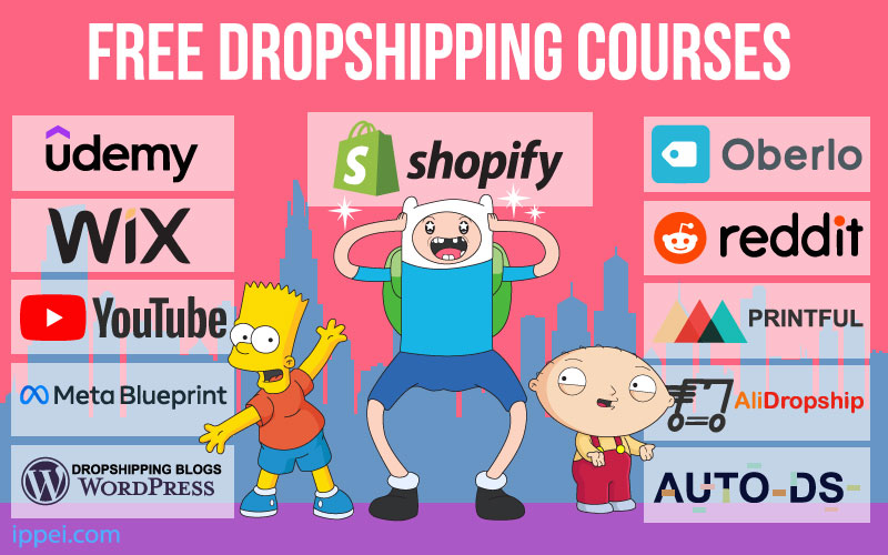 Free Dropshipping Course (11 Options To Learn Faster & Set Your Store