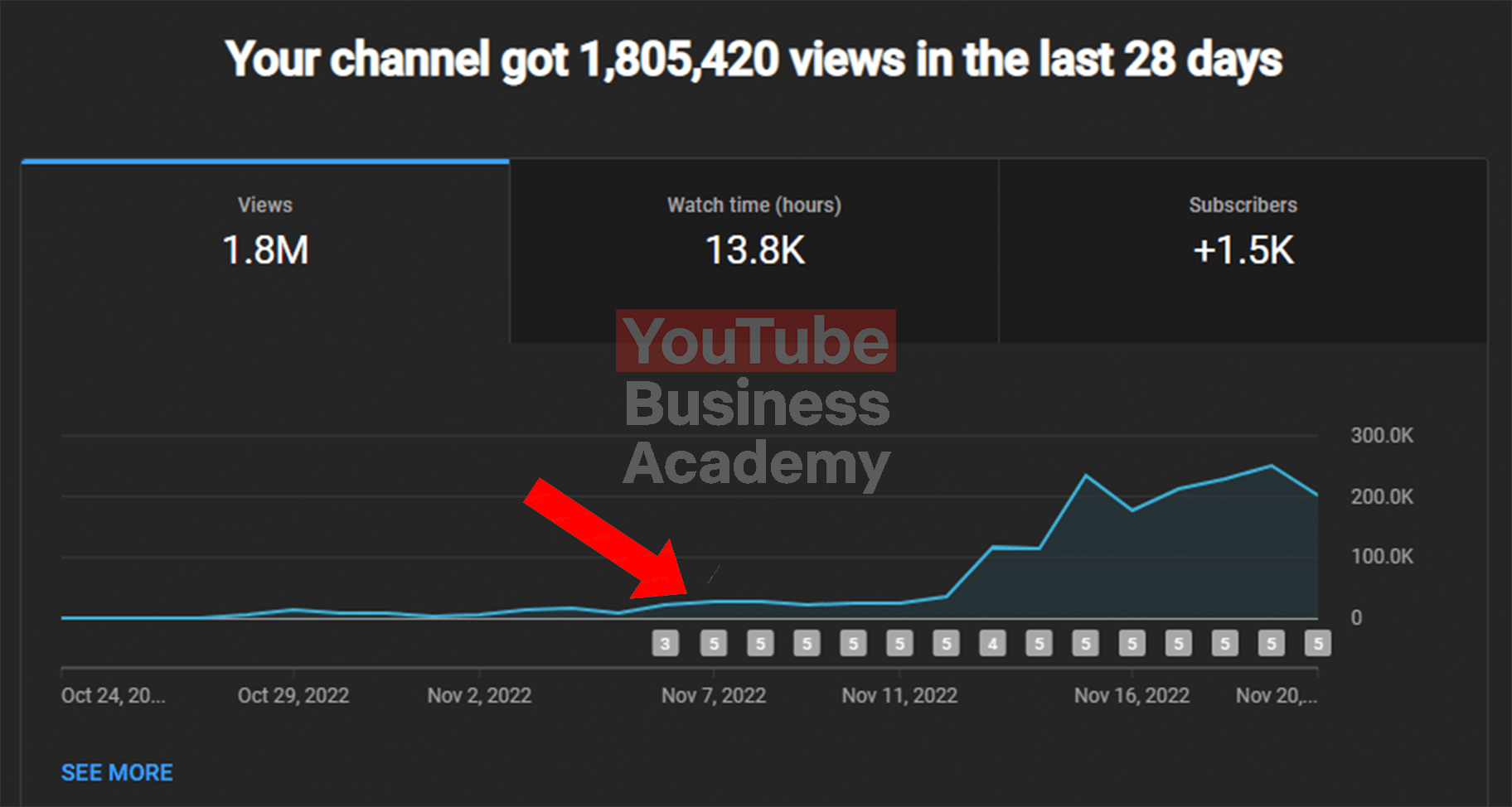 youtube business academy review
