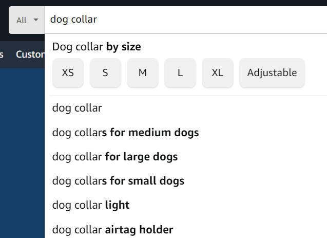 amazon search bar suggestions